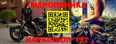 прущие крисы Будённовск