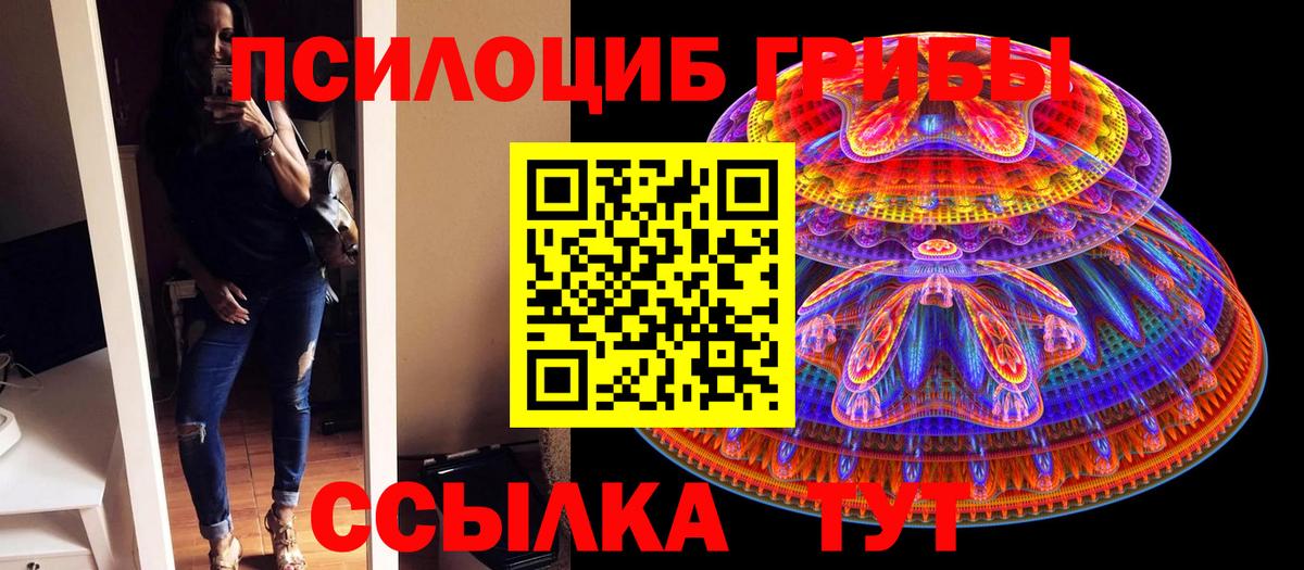 Михайловка  Псилоцибиновые грибы Magic Shrooms  Вход с VPN 