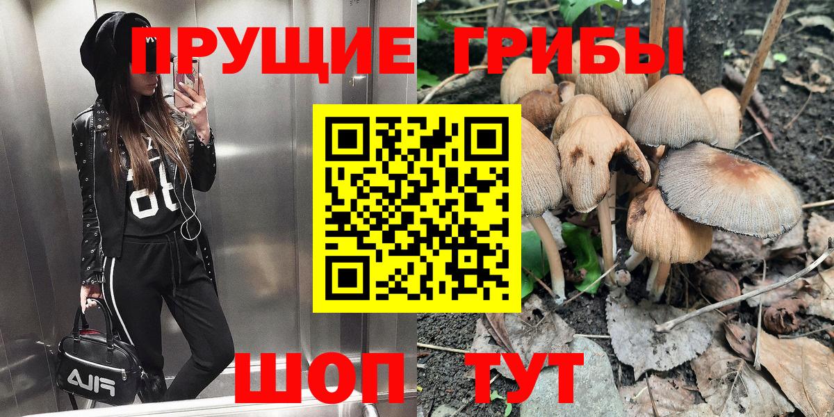 Псилоцибиновые грибы Cubensis Михайловка