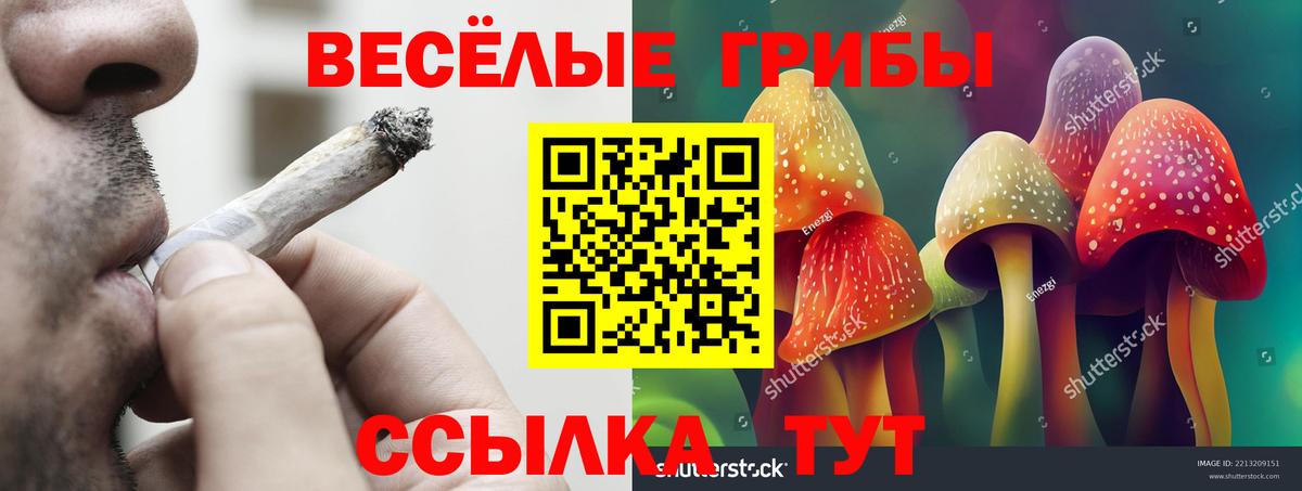 Амфетамин Михайловка